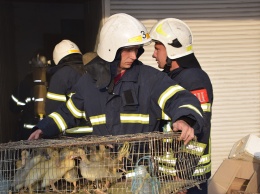 За прошедшие сутки на Николаевщине спасатели три раза выезжали на пожары в жилом секторе (ФОТО)
