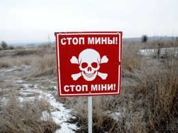 На Донбассе на мине подорвались два пьяных боевика