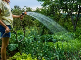 Поливной сезон в Никополе: водоканал назвал часы полива земельных участков