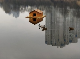 Новоселье для водоплавающих: на озере "Лебединое" установили домики для уток