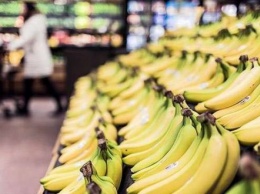Украина может остаться без бананов: популярный фрукт находится в опасности