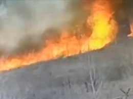 Под Липецком сняли на видео, как огонь уничтожил пожарную машину