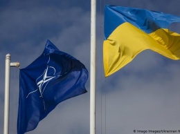 Что даст Украине план действий по членству в НАТО