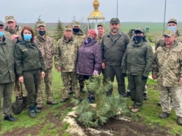 На горе Карачун высадили деревья и цветы