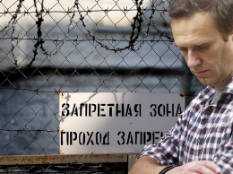 Более 30 человек присоединились к голодовке солидарности с Навальным