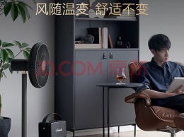 Xiaomi представила умный вентилятор с датчиком температуры, Wi-Fi и генератором отрицательных ионов