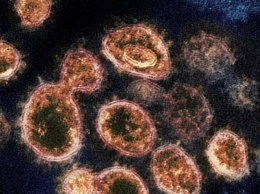 Борьба с коронавирусом: обнаружены гены-воины с инфекцией