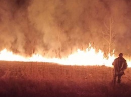 В Запорожской области произошел масштабный пожар: пламя едва не перекинулось на жилые дома