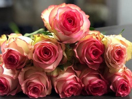 Украина введет спецпошлину в размере 56% на импорт роз