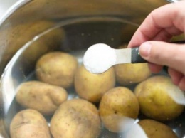 Почему немецкие ученые советуют пить воду от вареного картофеля