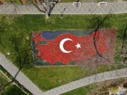 В Стамбуле высадили 8 миллионов тюльпанов