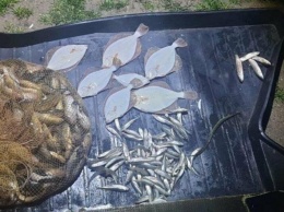 В Акимовском районе пограничники задержали браконьеров, в сети которых попала краснокнижная рыба