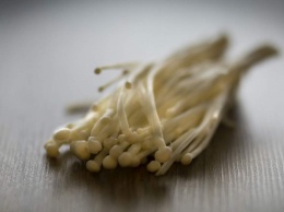 В США FDA вновь отозвала съедобные грибы