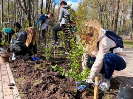 Киевляне высадили более сотни деревьев и кустов фото