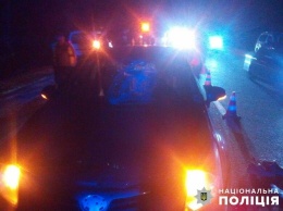 В Запорожской области сбили пешехода, который в темное время суток переходил дорогу в неосвещенном месте