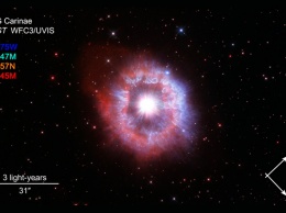Телескоп «Хаббл» сделал потрясающее фото одной из самых мощных звезд в нашей галактике
