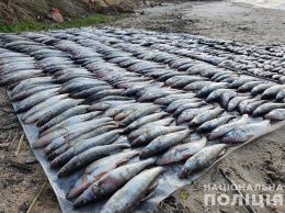 На Полтавщине у браконьера изъяли около 100 килограммов рыбы