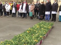 Благодарность: посольство Нидерландов передало медикам 20 ящиков тюльпанов