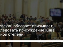 Львовский облсовет призывает расследовать присуждение Киве научной степени