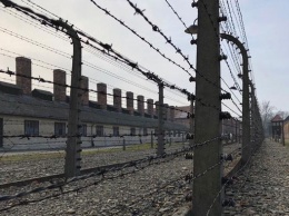 Музей в Освенциме: власти Польши пытаются политизировать его работу?
