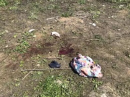 Найденное в Киеве тело в сумке: появились новые подробности