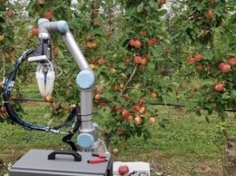 В Австралии создали робота для сбора урожая яблок