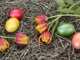 Зачем красят яйца на Пасху. Что означает каждый цвет
