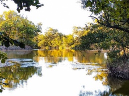 Жители Херсонщины бьют тревогу - древний пруд под угрозой исчезновения