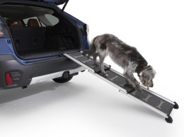 Subaru выпустила новую линию автомобильных аксессуаров для перевозки домашних животных