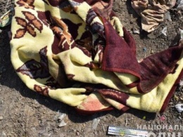Ужас на Тернопольщине: на свалке обнаружили тело новорожденного ребенка