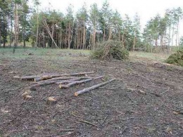 По оценке прокуратуры 1 гектар земли ГП «Павлоградский лесхоз». стоит 58 тыс.987 гривен