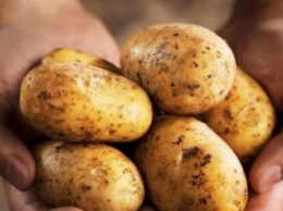 Врач назвал вескую причину отказаться от картофеля
