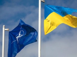 Для Украины двери в НАТО остаются открыты - Госдеп