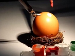 Почти код Да Винчи. Врач-гинеколог расписал яйцо с помощью хирургического робота (ФОТО, ВИДЕО)