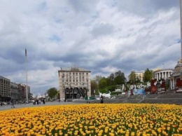 В центре Киева зацвели тысячи тюльпанов: фото
