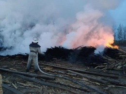 "Погиб сторож": подробности масштабного пожара на пилораме в Балаклейском районе, - ФОТО