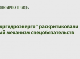 В "Укргидроэнерго" раскритиковали новый механизм спецобязательств
