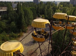 Затерянный мир: кто поселился на освобожденной территории Чернобыльской зоны отчуждения