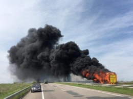 На трассе Киев-Одесса загорелся автобус: что произошло с пассажирами