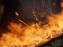 В Турции к тушению лесного пожара привлекли вертолеты и бульдозеры