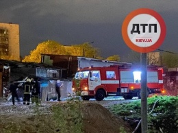 В приюте для животных в Киеве произошел пожар