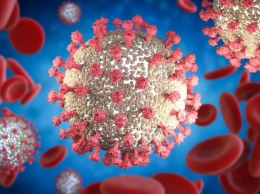 Ученые выяснили, как определить тяжелую форму коронавируса на ранних стадиях