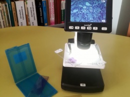 B херсонской библиотеки коронавирус рассмотрели под микроскопом