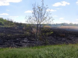 10 мая из-за поджогов на Николаевщине опять горели плавни