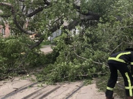 Последствия стихии: в Харькове спасатели расчищали дороги от поваленных ветром деревьев