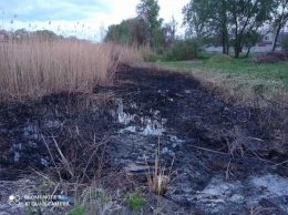 На озере Курячьем в Днепре выжгли камыши (ФОТОФАКТ)