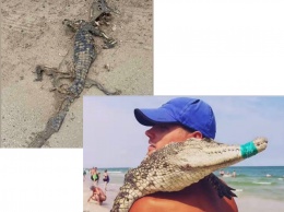 В курортной Кирилловке на берегу моря обнаружили мертвого крокодила