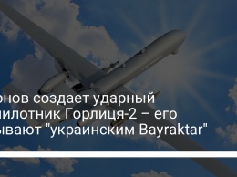 Антонов создает ударный беспилотник Горлиця-2 - его называют "украинским Bayraktar"