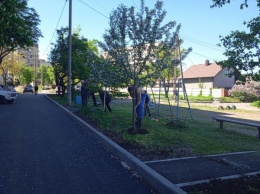 Жители 4-го Заречного активно включились в проект мэра Константина Павлова по благоустройству микрорайона