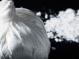 В лесах Боливии уничтожили три кокаиновые «мегафабрики»